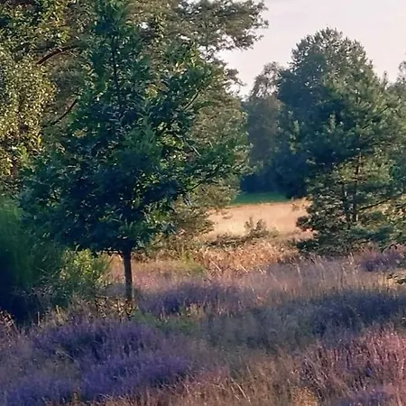 Ferienhaus An Der Schnuckenheide * Dedelstorf