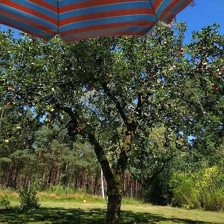 Ferienhaus An Der Schnuckenheide *